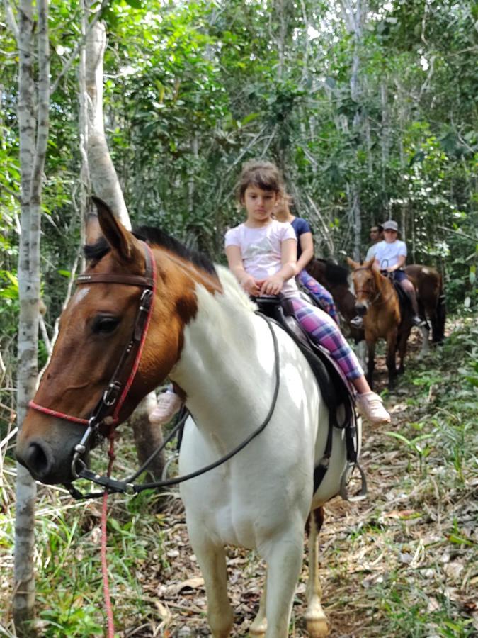 Pousada Fazenda Rancho Sêmani Itacaré Exterior foto