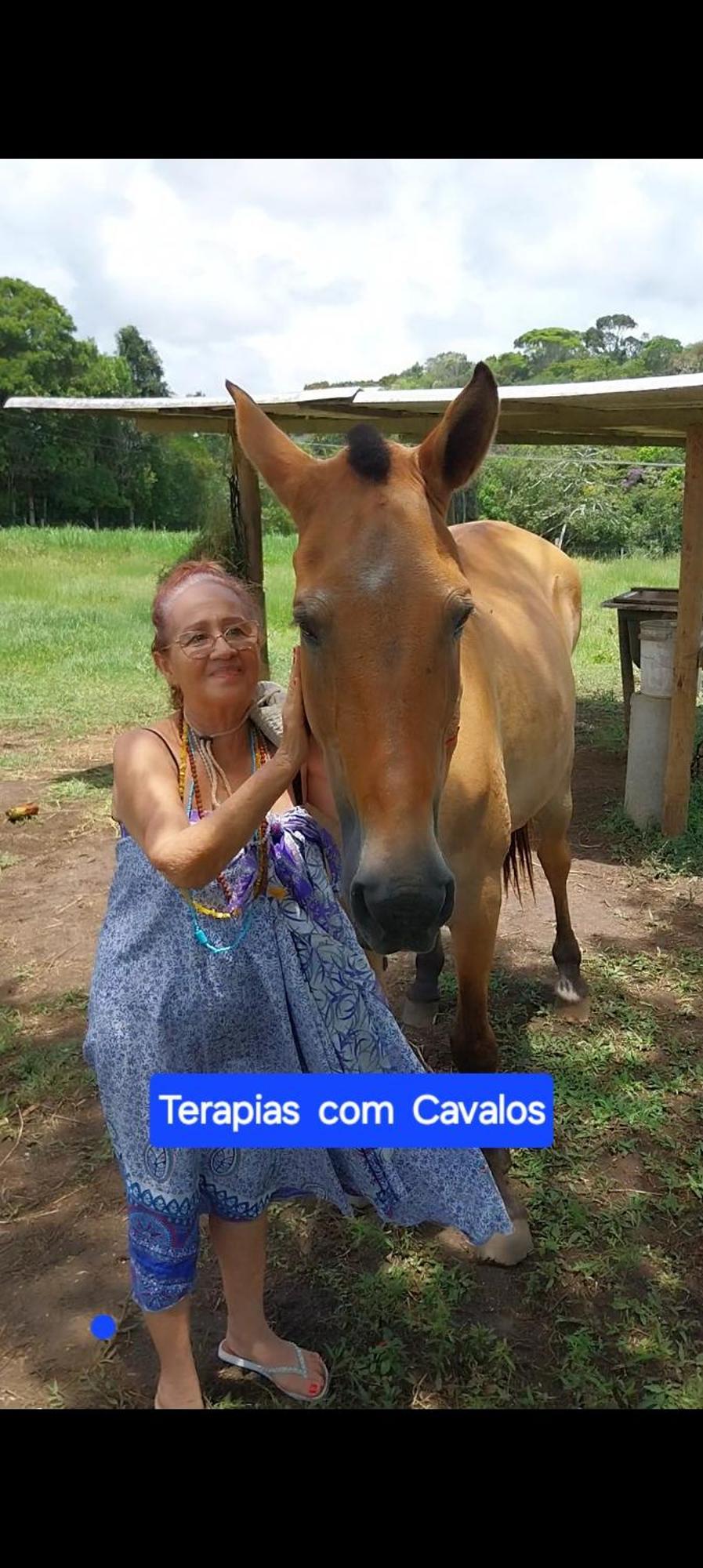 Pousada Fazenda Rancho Sêmani Itacaré Exterior foto