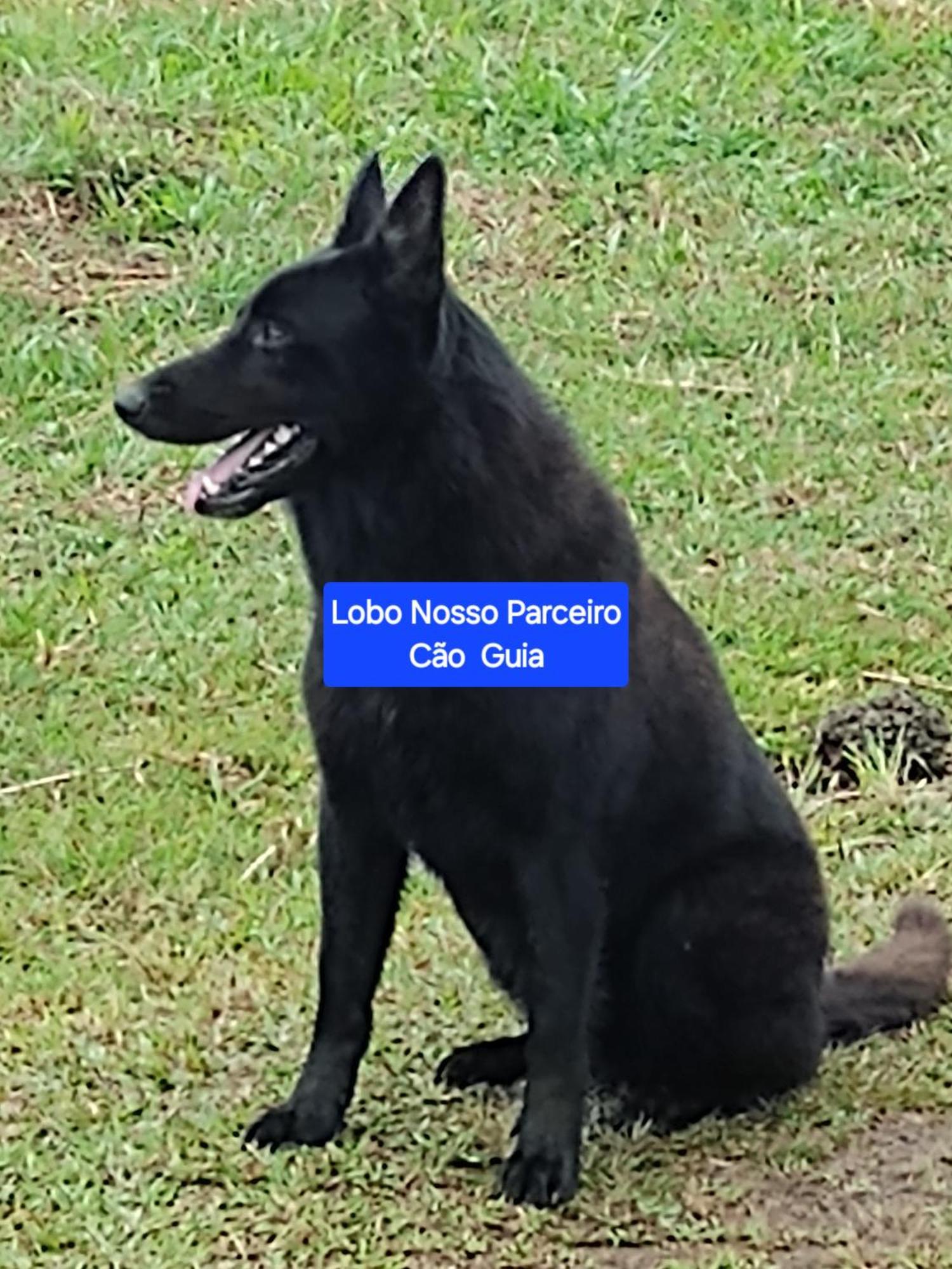 Pousada Fazenda Rancho Sêmani Itacaré Exterior foto